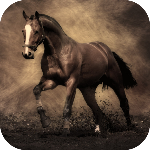 Horse Live Wallpaper FREE icon