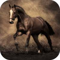 Horse Live Wallpaper FREE