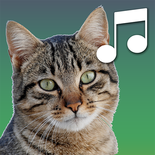 Sounds of cats icon