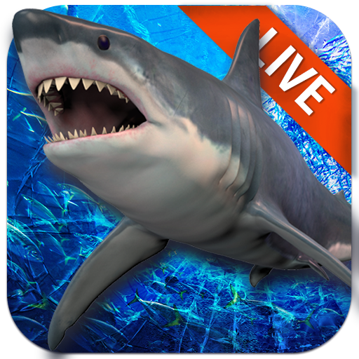 Live Wallpaper with Shark in the Ocean icon