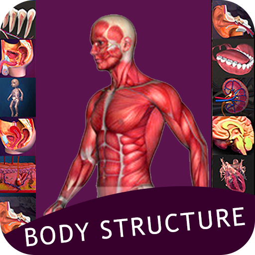 Human Body System – All Body System Offline icon