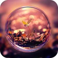 Eye of Life Live Wallpaper