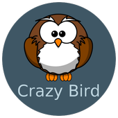 Crazy Bird icon