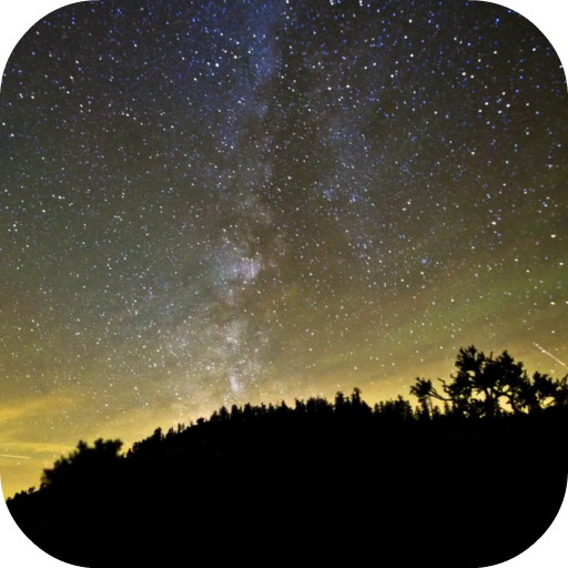 Night Video Live Wallpaper icon