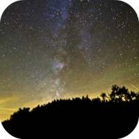 Night Video Live Wallpaper