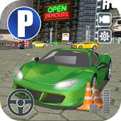 Real Dr. Parker Multi Level Simulator 3D