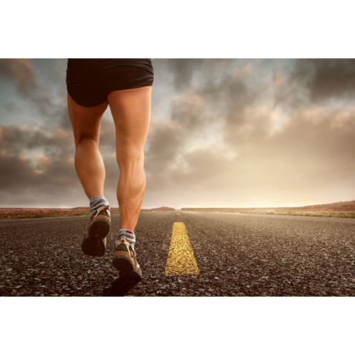 Fitness for Diabetics: Blood sugar and workout log icon