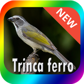 Best Trinca Ferro BirdSong icon