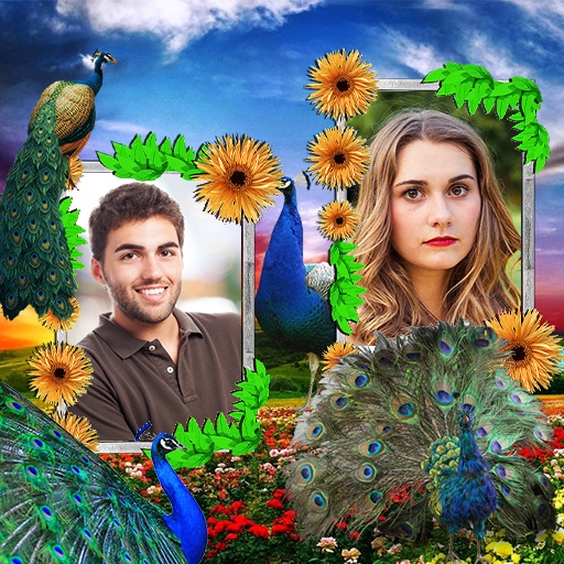 Peacock Dual Frames Photo Album أيقونة