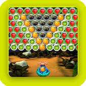 bubble fruit harvest