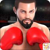 Boxing Punch Fighting