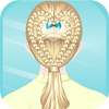 Super Braid Hairdresser HD