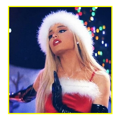 Ariana Grande Wallpaper icon