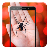 Spider On Hand Camera Prank icon