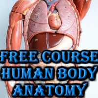 Learn Body Human Anatomy offline 2020 on 9Apps