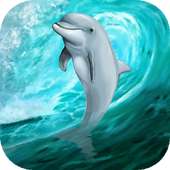 Dolphin in the sea live wallpaper on 9Apps