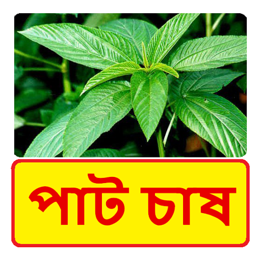পাট চাষ ~  Jute Cultivation أيقونة