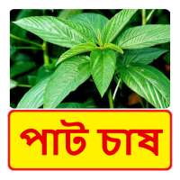 পাট চাষ ~  Jute Cultivation