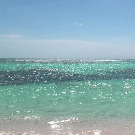 Hot summer and the sea icon