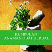 Kumpulan Tanaman Obat Herbal on 9Apps