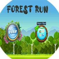 Forest Run