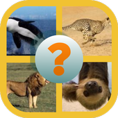 Guess The Picture icon