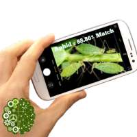 Pest Detector on 9Apps