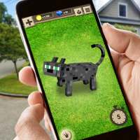 Craft Cats Evolution