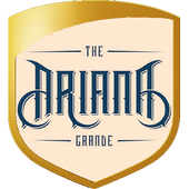 Ariana Grande Song | Offline icon