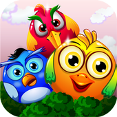 Birds Match 3 icon