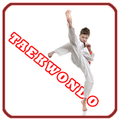 Taekwondo Training Program icon