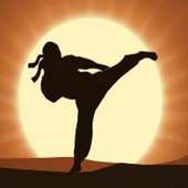 Hero Shadow Fight Wallpaper HD