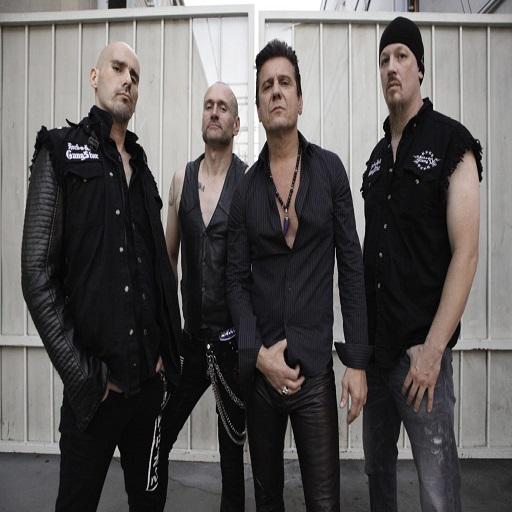 Steelheart Best Music(Offline) &amp; Ringstones icon