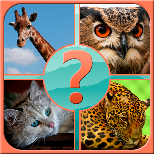 Guess the Animal icon