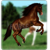 Horse Race Live icon