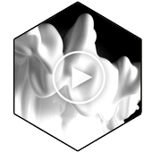 Milk 3D Video Wallpaper icon