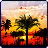 Sunset HD Live Wallpaper icon