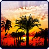 Sunset HD Live Wallpaper on 9Apps