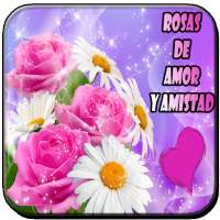 Rosas de Amor y Amistad