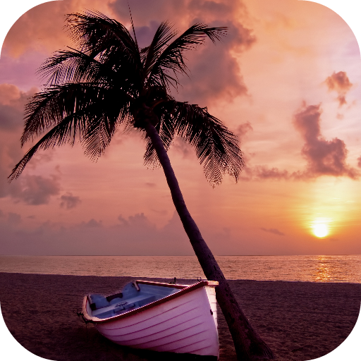 Palm Tree Wallpapers icon