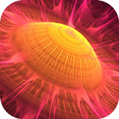 Note 9 Wallpaper icon