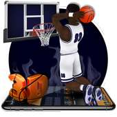 3d Basketball King on 9Apps