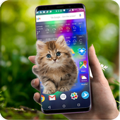 Cute Cat Walks on screen prank - Joke 2019 icon