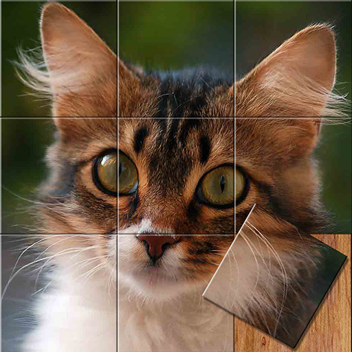 Easy cat puzzle icon