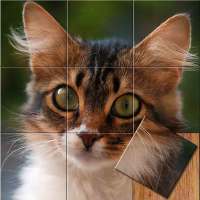Easy cat puzzle