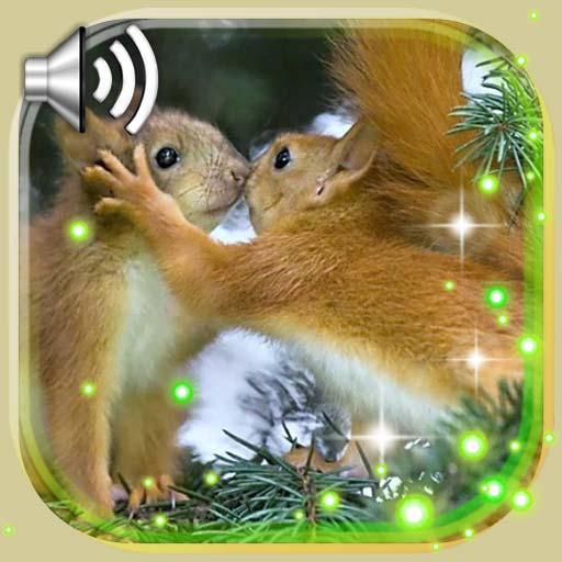 Squirrels Gallery icon