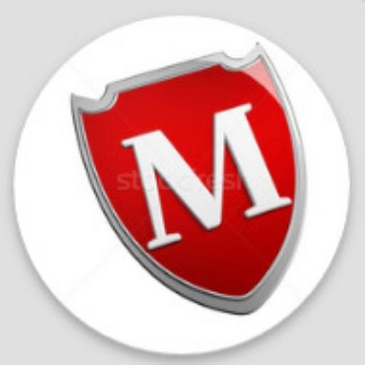 Al Madeena vpn icon