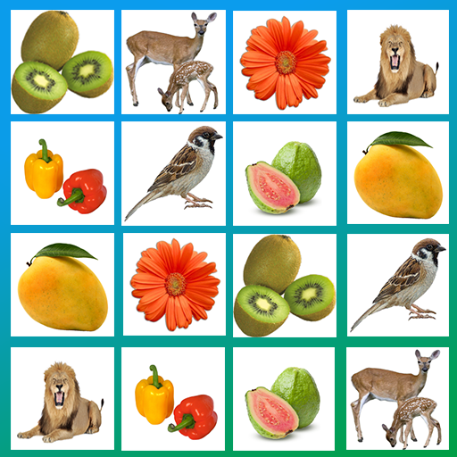 Picture Match. Memory. Concentration game. icon