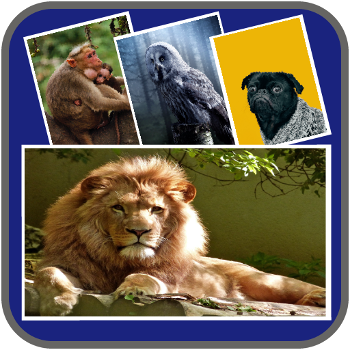 Music Video Maker App - Slideshow With Music icon