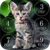 Kitten Lock Screen on 9Apps
